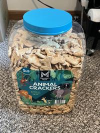 Team The Notorious Scoundrels logo